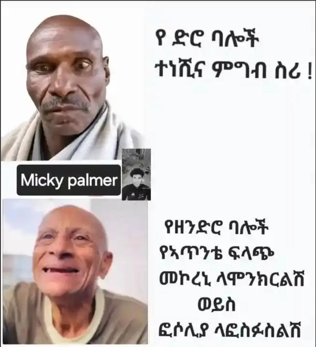የድሮ ባሎች PLC Whe